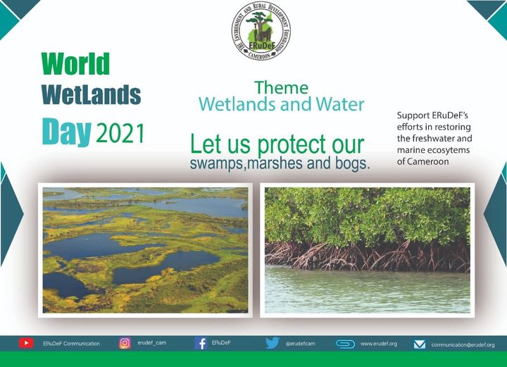 The future of wetlands: our perspective 